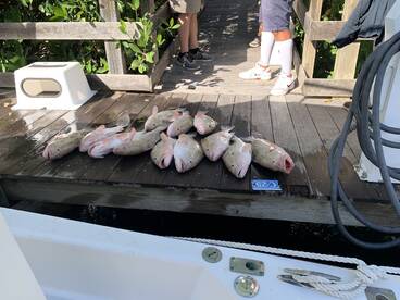 Grouper fishing remains red hot ???