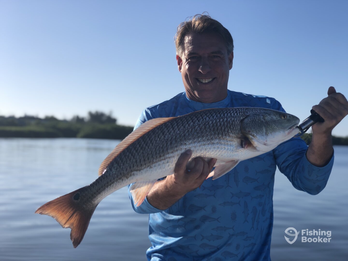 Sarasota Report Photo 0