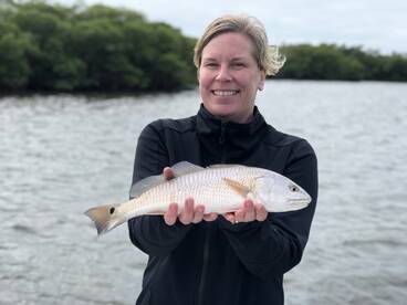 Sarasota Report Photo 1