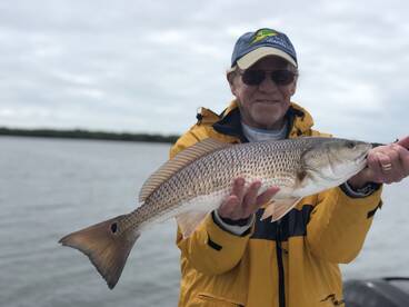 Sarasota Report Photo 2