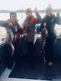 Newport Report Photo 2