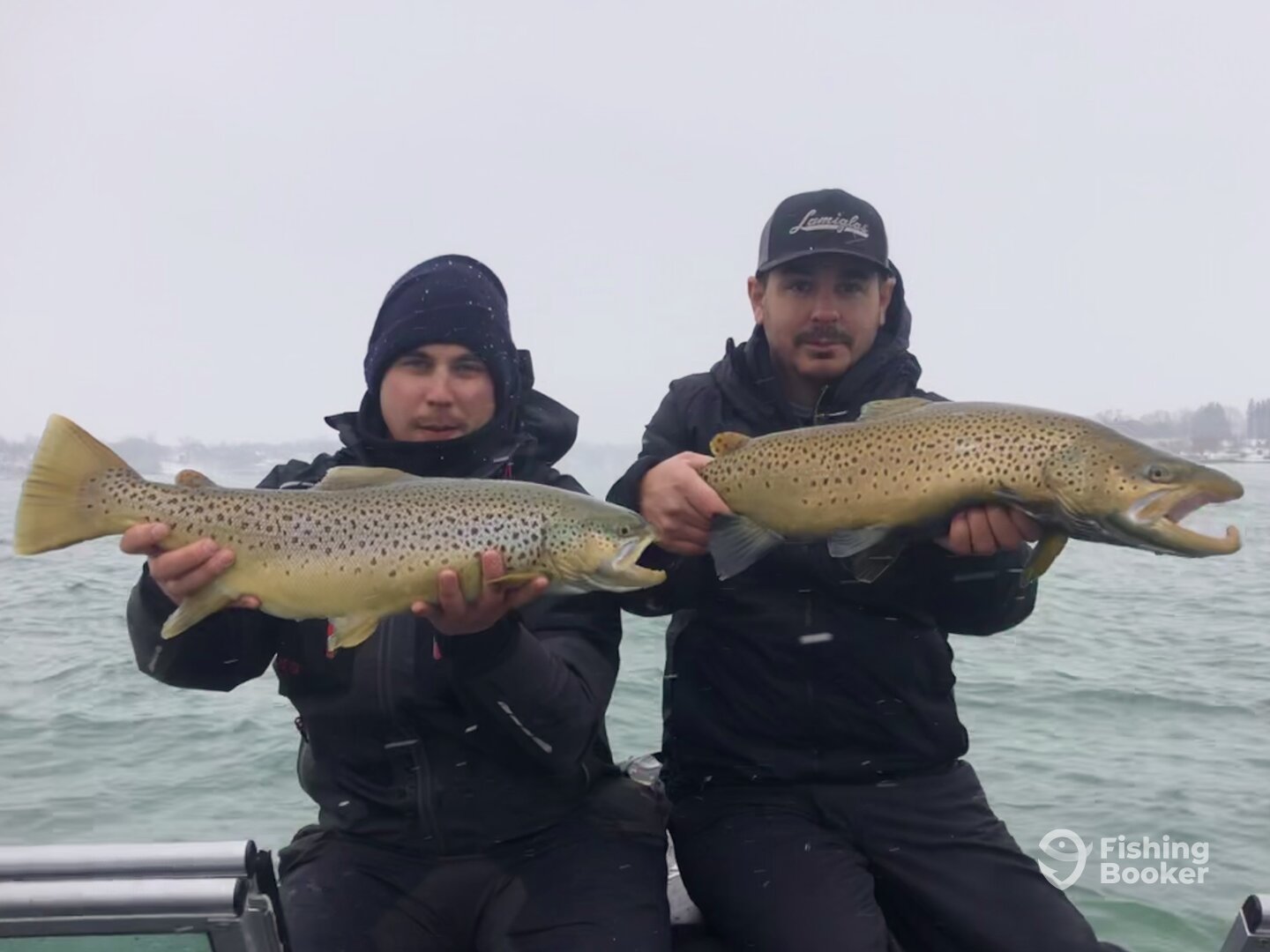 Buffalo Report Photo 0