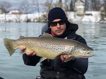 Buffalo Report Photo 2