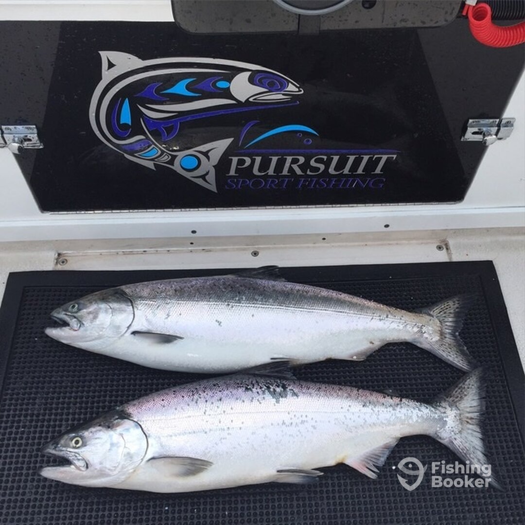 Richmond Report Photo 0