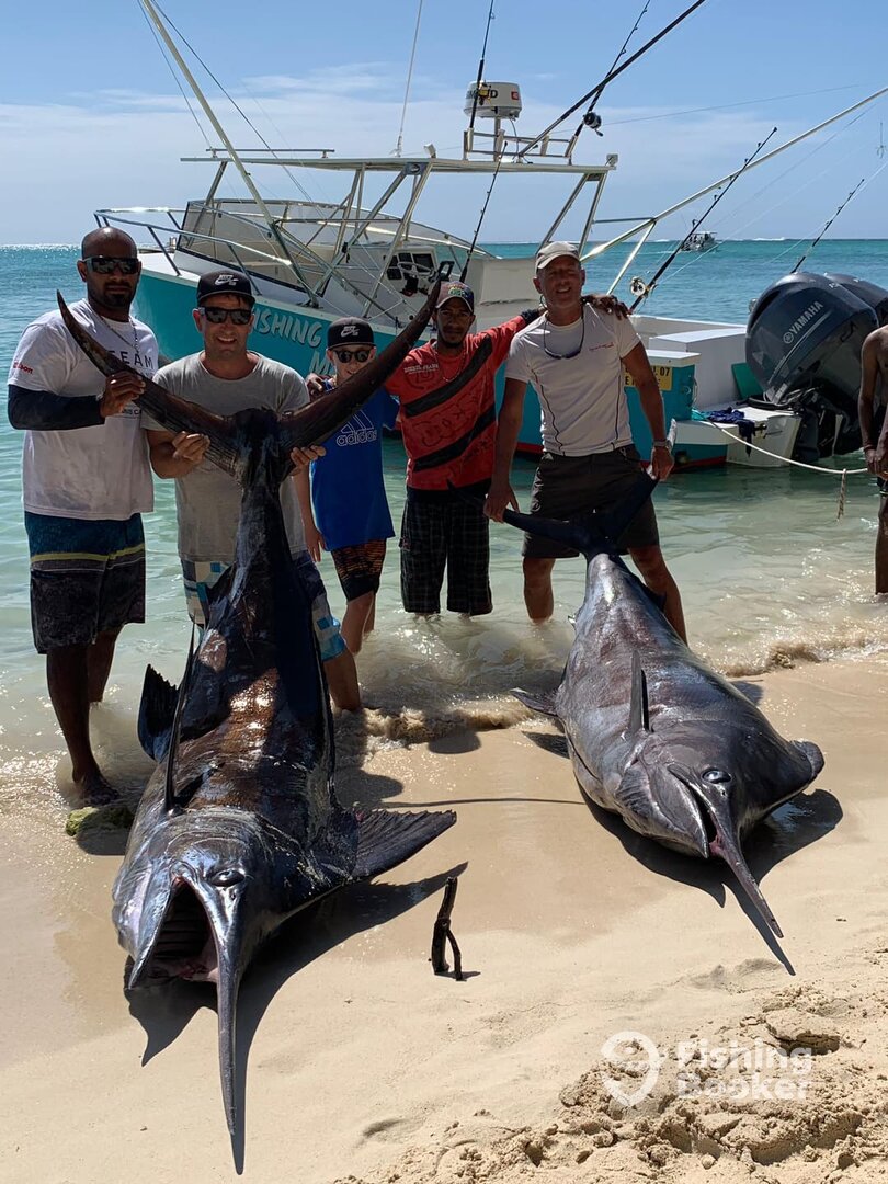 Le Morne Report Photo 0