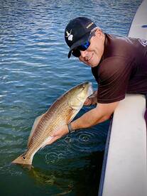 Sarasota Report Photo 1