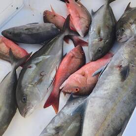 Puerto Aventuras Report Photo 2