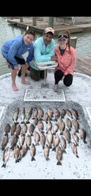 Mangrove Snapper and trout 