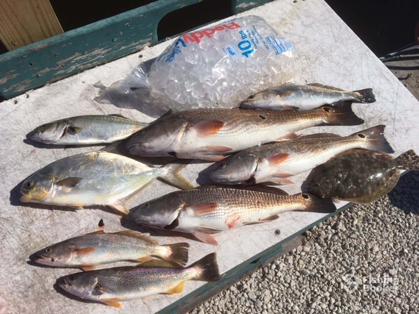 Jacksonville Report Photo 0