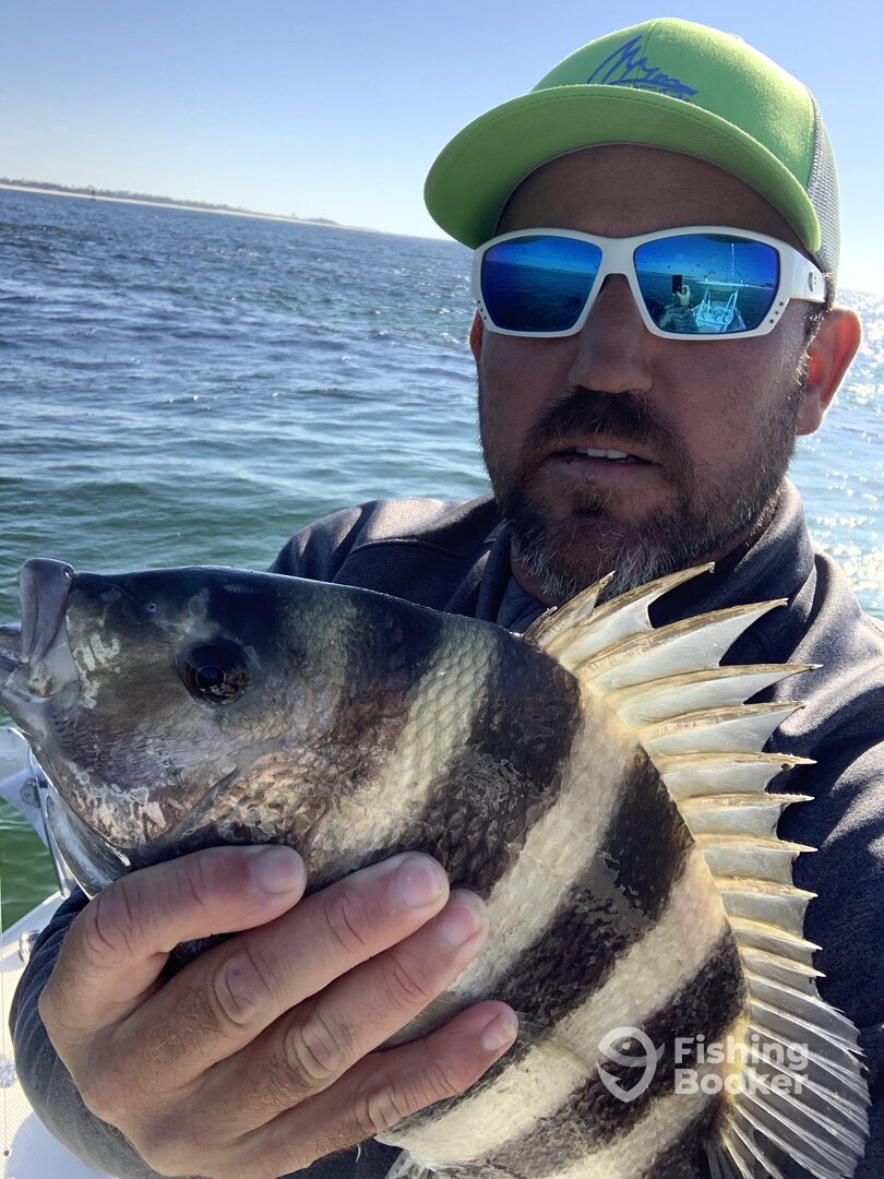 Orange Beach Report Photo 0