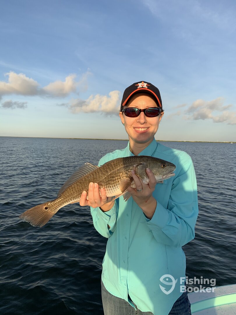 Galveston Report Photo 0