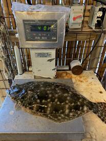 Galveston Report Photo 1