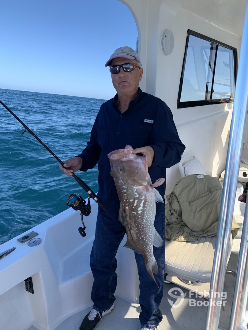 Naples Report Photo 0