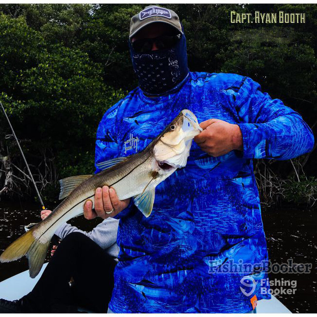 Great snook bite here is one! 