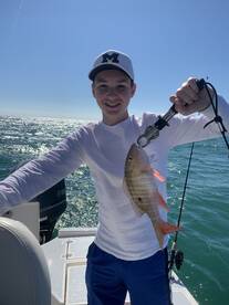 Marco Island Report Photo 1