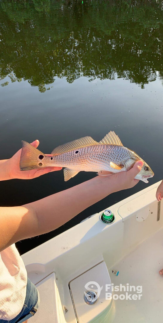 Clearwater Report Photo 0