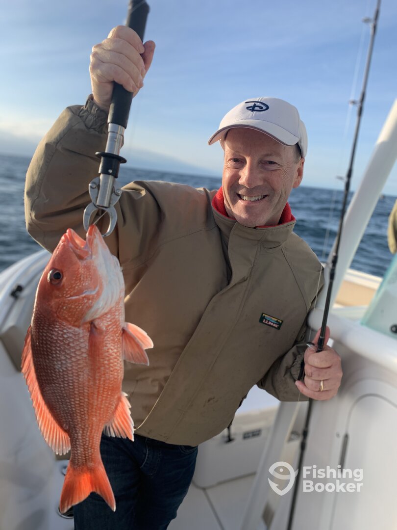 Orange Beach Report Photo 0