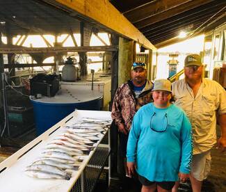 Crystal River Report Photo 2