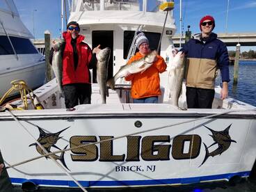Best striped bass fishing in years!
