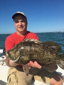 Sarasota Report Photo 1