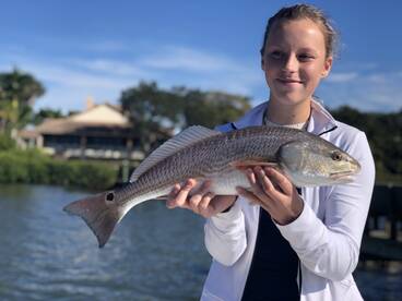 Sarasota Report Photo 1