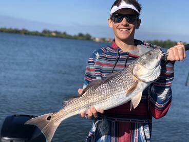 Sarasota Report Photo 1