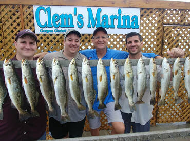 Trout have been biting catching limits