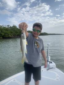 Marco Island Report Photo 1