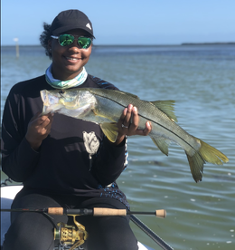 Winter Snook