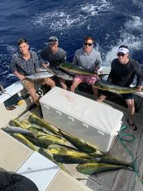 Haleiwa Report Photo 1