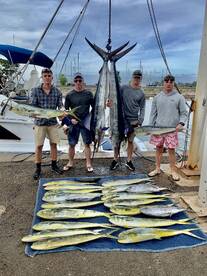 Haleiwa Report Photo 2