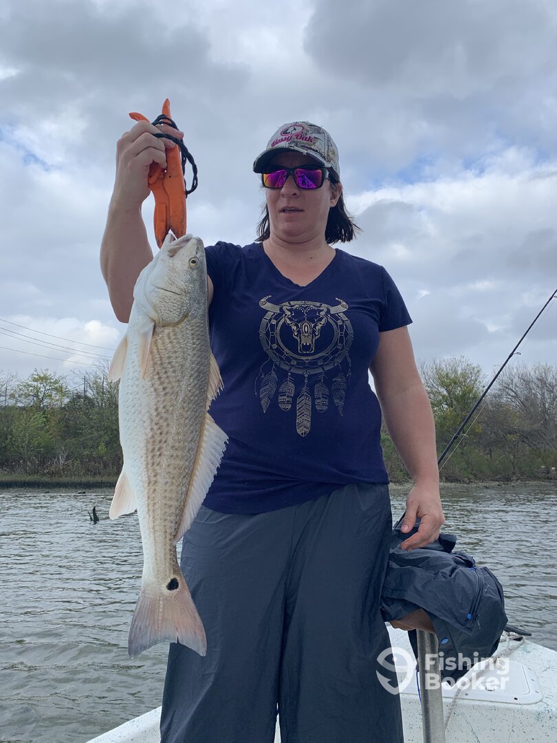 Galveston Report Photo 0