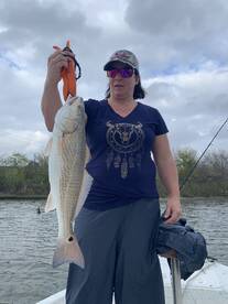 25 inch redfish