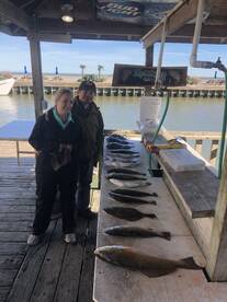 Trout limts and texas slams