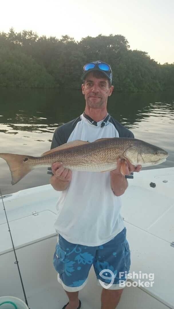 St. Petersburg Report Photo 0