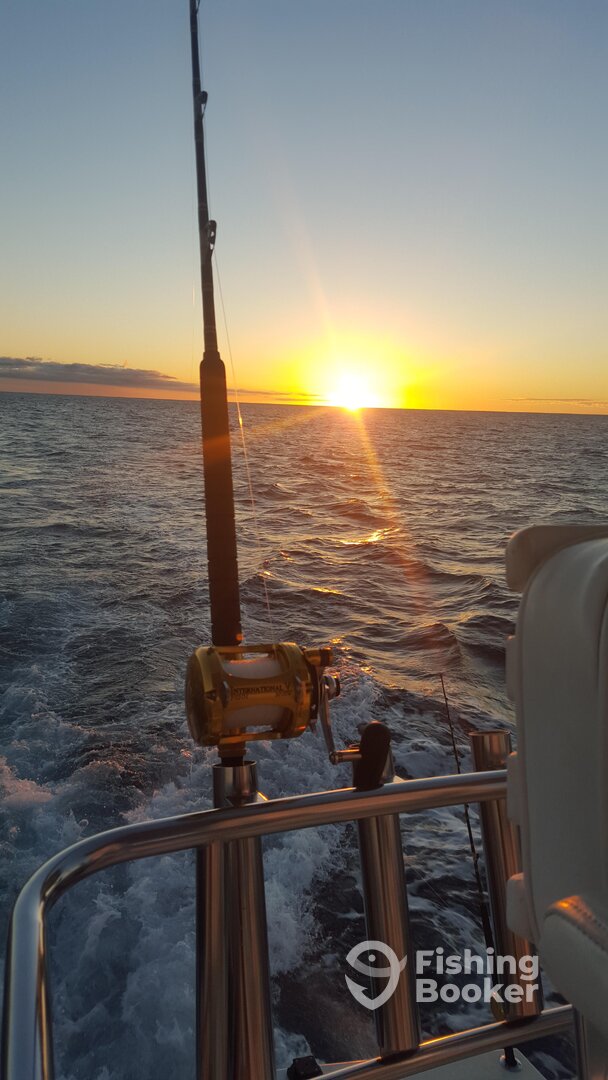 Cabo San Lucas Report Photo 0