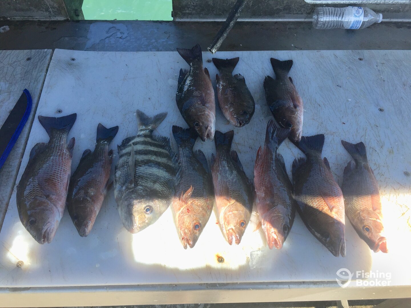 Port Canaveral Report Photo 0