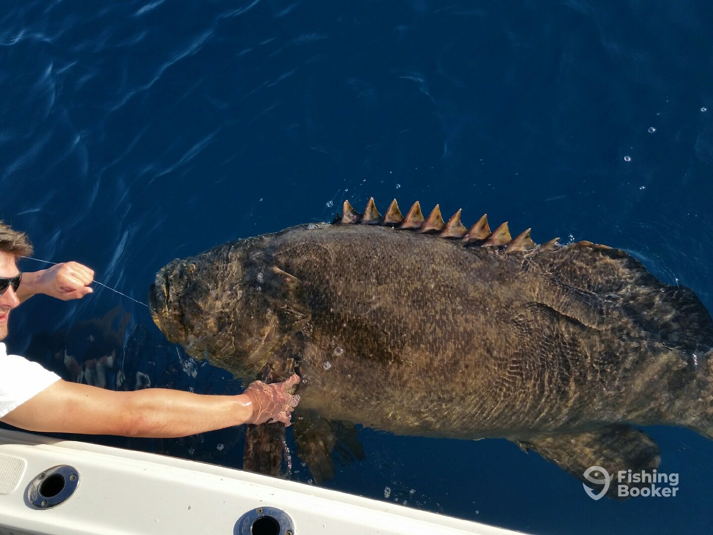 Port Orange Report Photo 0