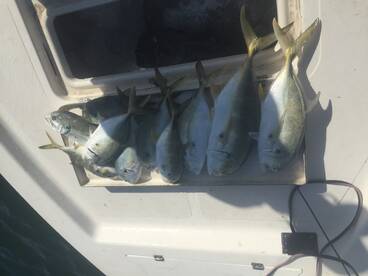 Port Canaveral Report Photo 1