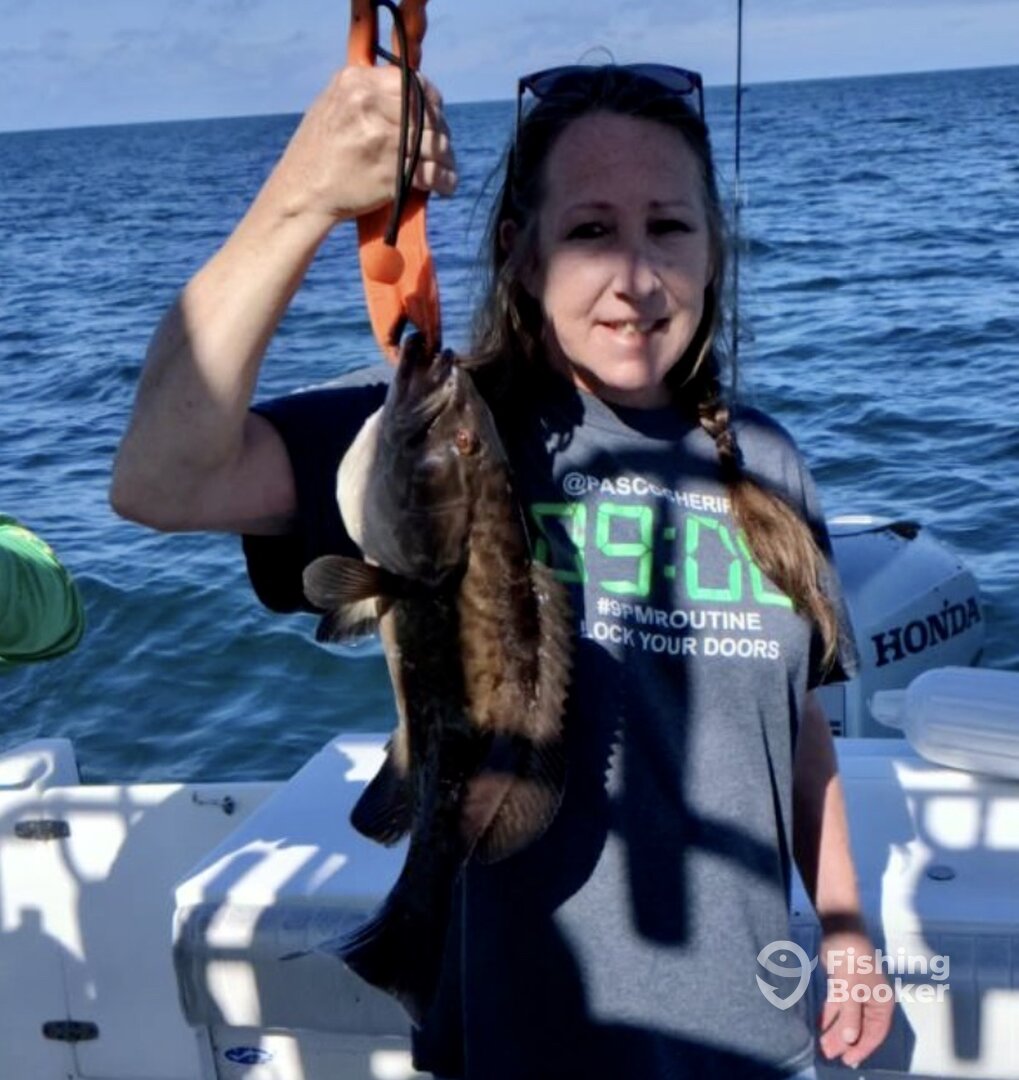 Holiday Report Photo 0