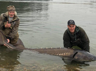 Chilliwack Report Photo 1