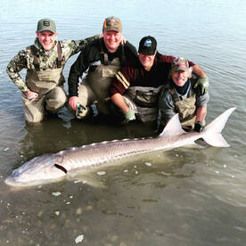 2020 will Be awesome