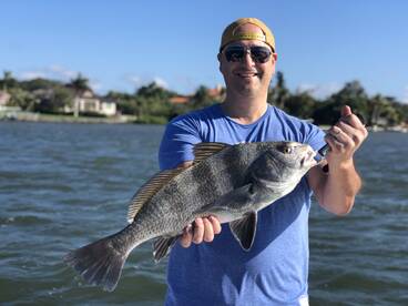 Sarasota Report Photo 1