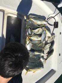 Port Canaveral Report Photo 2