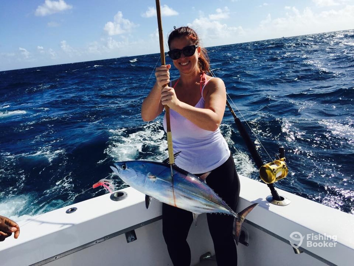 Dania Beach Report Photo 0