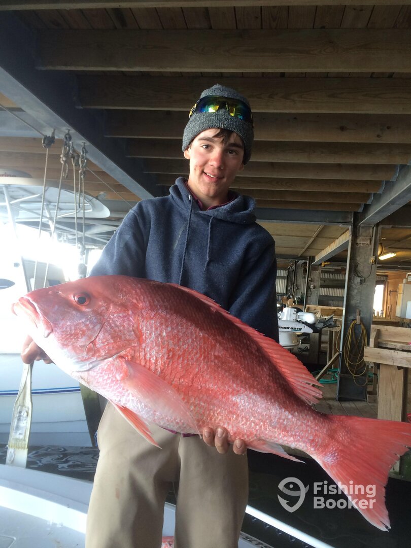 Venice Report Photo 0