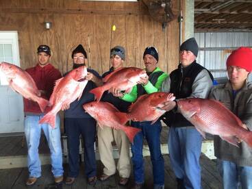 Venice Report Photo 1