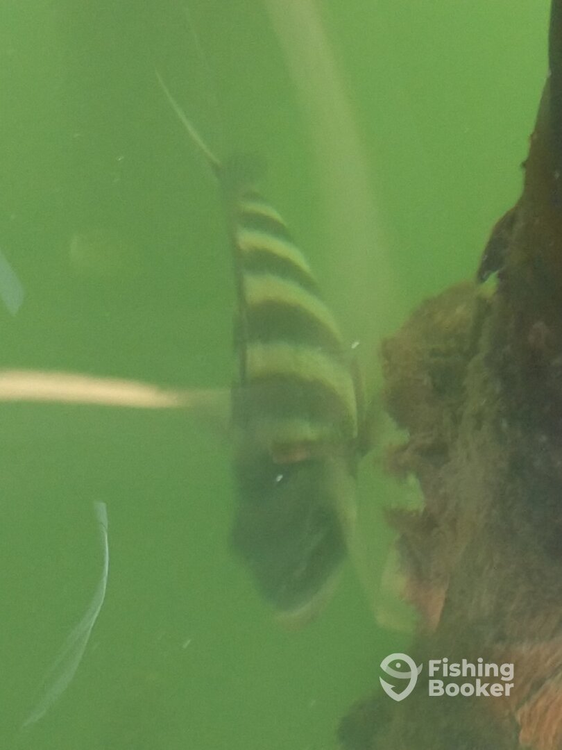 Fort Lauderdale Report Photo 0