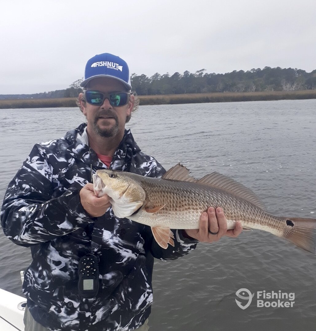 Mount Pleasant Report Photo 0