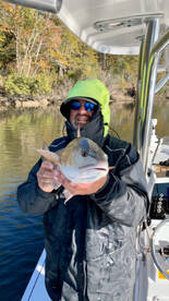 Mount Pleasant Report Photo 1